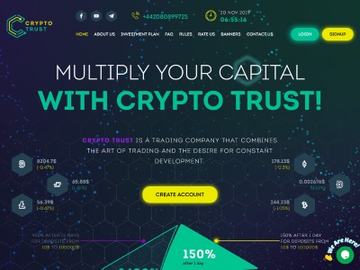 //is.investorsstartpage.com/images/hthumb/crypto-trust.biz.jpg?90