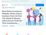//is.investorsstartpage.com/images/hthumb/beslacapital.com.jpg?90
