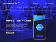 //is.investorsstartpage.com/images/hthumb/bitfinity.io.jpg?90