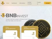 //is.investorsstartpage.com/images/hthumb/bnbinvest.io.jpg?90