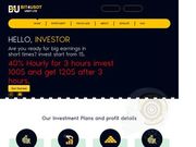 //is.investorsstartpage.com/images/hthumb/hyip-demo1.newwebmaker.com.jpg?90