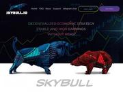//is.investorsstartpage.com/images/hthumb/skybull.io.jpg?90