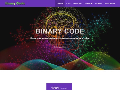 //is.investorsstartpage.com/images/hthumb/binarycode.website.jpg?90